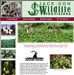 Jack-son Wildlife Provisions - Deerweed and Winterweed